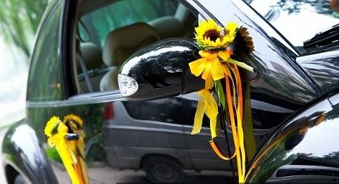 金黄色格调草坪婚礼手记--布置篇(新人案例)