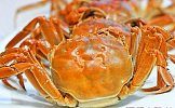 成隆行蟹王府 黄浦店 大闸蟹