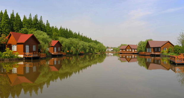 崇明岛五一旅游图片