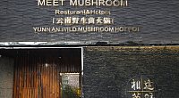 相逢菌语 图片